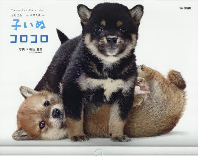 �������� ��26 �Ҥ��̥���������3000�߰ʾ�����̵����