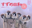 カレンダー ’26 すずめ日和【3000円以上送料無料】