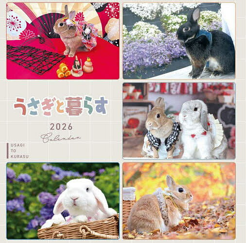 餹2026Calendar3000߰ʾ̵