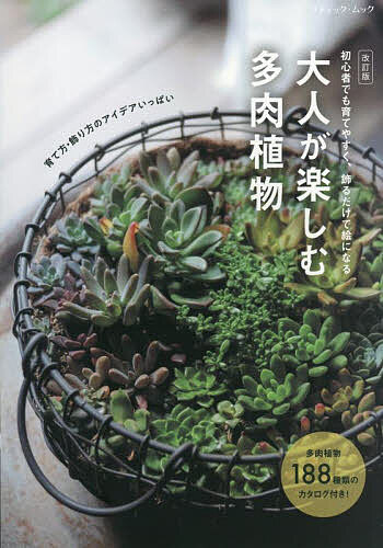 大人が楽しむ多肉植物 初心者でも育てやすく、飾るだけで絵になる【3000円以上送料無料】