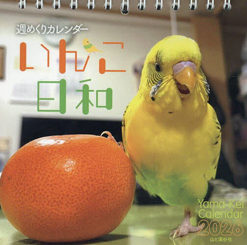 ���᤯�ꥫ��������������2026��3000�߰ʾ�����̵����