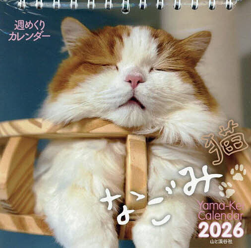 ᤯ꥫʤǭ20263000߰ʾ̵