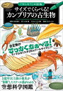 サイズでくらべる!カンブリアの古生物/田中源吾/土屋健/ツク之助【3000円以上送料無料】