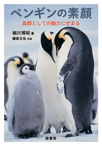 ※商品画像はイメージや仮デザインが含まれている場合があります。帯の有無など実際と異なる場合があります。著者細川博昭(著) 鎌倉文也(写真)出版社緑書房発売日2025年12月ISBN9784868110484ページ数159Pキーワードぺんぎんのすがおちようるいとしての ペンギンノスガオチヨウルイトシテノ ほそかわ ひろあき かまくら ホソカワ ヒロアキ カマクラ9784868110484内容紹介「鳥」という視点からとらえることで見えてくるペンギンの素顔を、最新の知見も交えて美しい写真とともに紹介。ペンギンの体の構造や生理から、進化とたどってきた歴史、ペンギン全種の特徴と生息地域、ペンギンの暮らしとその能力まで、美しいペンギンたちの姿をとらえた写真とともに、やさしい筆致で解説。すべてのペンギン好き、鳥好きに贈る一冊。【本書の特徴】●ペンギンの体の構造や特徴をその他の鳥と比較しながら解説。●「ペンギン誕生の地」や「進化の歴史」など、研究が進められていくことで明らかになってきた情報を紹介。●現在、地球上に生息しているペンギン全18種の特徴や生息地などを写真とともに解説。●恋愛事情、巣作り、抱卵、子育て、ヒナの巣立ちといったペンギンの暮らしや1年の基本サイクルについてわかりやすく解説。●シジュウカラなどと同様に、ペンギンも声によってコミュニケーションを取っているといった最新の知見も紹介。●「ペンギンは元々別の鳥だった!?」、「人間と同じサイズのペンギンがいた!?」、「ペンギンの足の骨が太い理由」といった誰かに話したくなるような興味深い話題を多数掲載。※本データはこの商品が発売された時点の情報です。目次第1章 ペンギンは鳥である（ペンギンとは？/ペンギンと羽毛 ほか）/第2章 ペンギンの進化と、たどった歴史（現代のペンギンの祖先/鳥の進化の中のペンギンの位置づけ ほか）/第3章 ペンギン全種の特徴と生息地域（エンペラーペンギン/キングペンギン ほか）/第4章 ペンギンの暮らしとその能力（ペンギンは南半球の鳥/ペンギンの食べ物と南極周囲の海の食物連鎖 ほか）