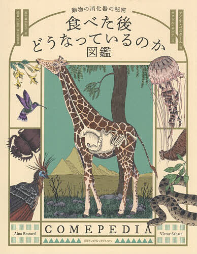 Nonfiction （JAPAN） - 【3千円以上送料無料】食べた後どうなっているのか図鑑 動物の消化器の秘密／アイナ・ベスタール／ビクトル・サバテ／五十嵐加奈子