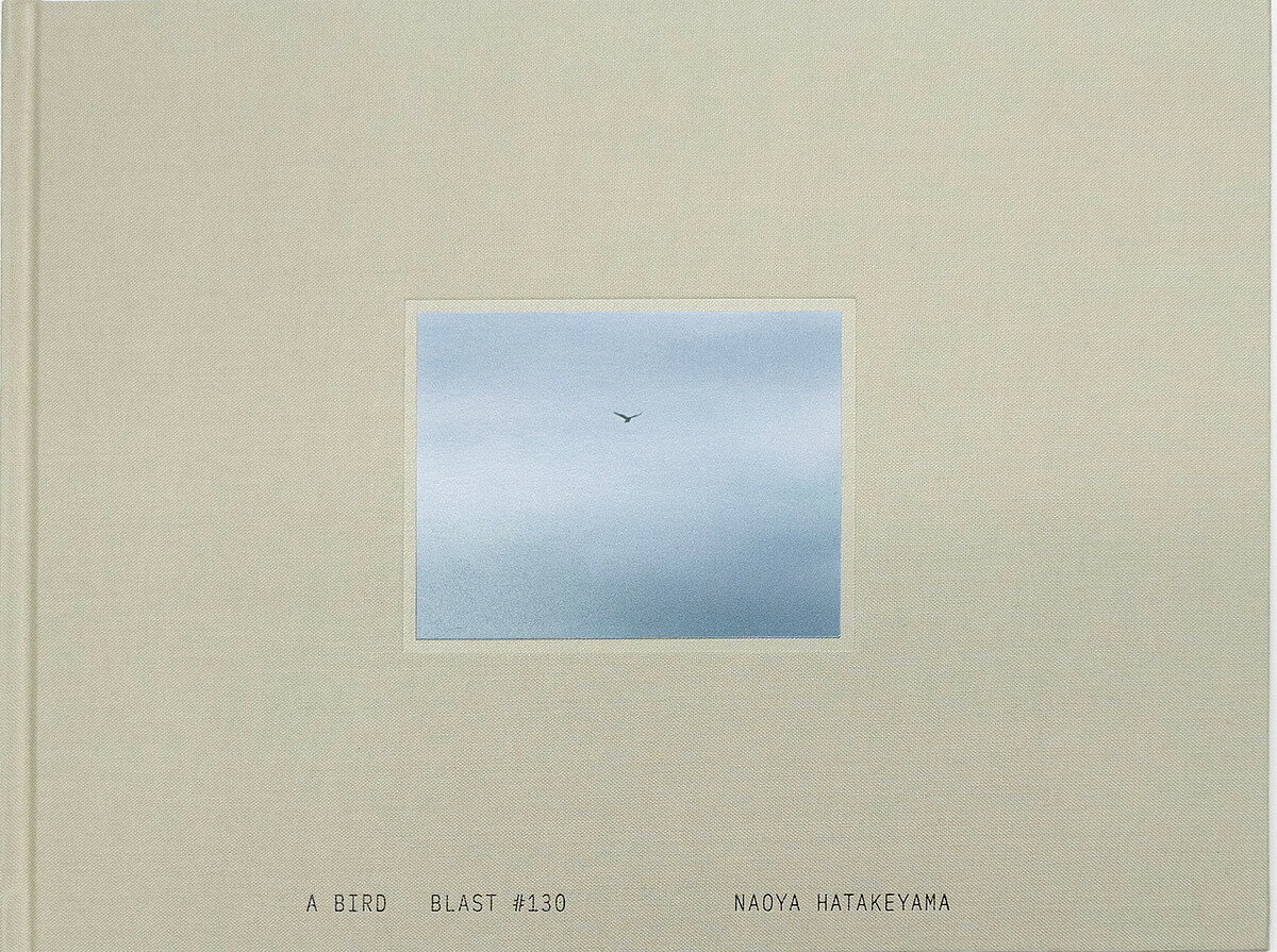 A BIRD BLAST #130��3000�߰ʾ�����̵����