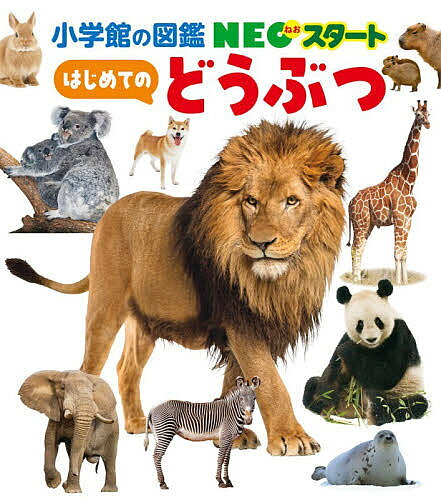 ＜全品15倍 ※8/24~27限定 要エントリー＞はじめてのどうぶつ／田島木綿子