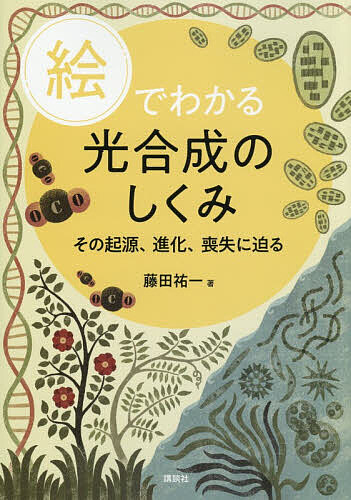 【3千円以上送料無料】絵でわかる光合成のしくみ その起源、進化、喪失に迫る／藤田祐一