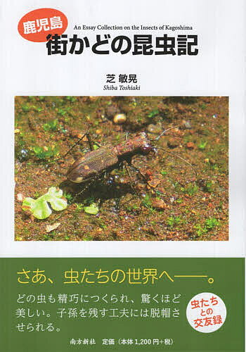 ※商品画像はイメージや仮デザインが含まれている場合があります。帯の有無など実際と異なる場合があります。著者芝敏晃(著)出版社南方新社発売日2026年08月ISBN9784861245626ページ数149Pキーワードかごしままちかどのこんちゆうき カゴシママチカドノコンチユウキ しば としあき シバ トシアキ9784861245626