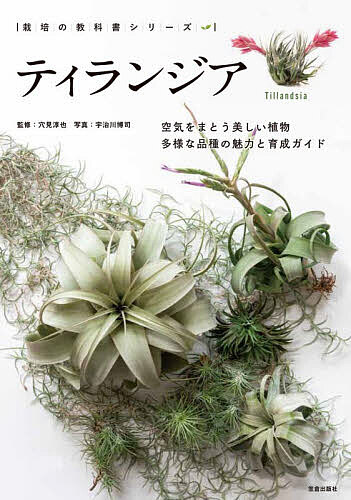※商品画像はイメージや仮デザインが含まれている場合があります。帯の有無など実際と異なる場合があります。著者穴見淳也(監修) 宇治川博司(写真)出版社笠倉出版社発売日2026年09月ISBN9784773061697ページ数127Pキーワードていらんじあくうきおまとううつくしいしよくぶつたよ テイランジアクウキオマトウウツクシイシヨクブツタヨ あなみ じゆんや うじがわ ひ アナミ ジユンヤ ウジガワ ヒ9784773061697内容紹介ティランジアを深く知り、上手に育てたい方へ。土がなくても育つエアプランツとして人気が高い「ティランジア」。その魅力を、基礎知識から栽培テクニックまでわかりやすく解説した一冊です。ティランジアの分類や自生地、植物としての特徴をはじめ、置き場所や光、水やり、風通し、季節ごとの管理、上手な飾りかた、株分けや実生による繁殖まで、長く美しく育てるためのポイントを豊富な写真とともに紹介しています。さらに、人気種から希少種まで幅広く掲載した図鑑では、それぞれの特徴や栽培のコツを解説。品種選びの参考としてはもちろん、コレクションを楽しみたい方にも役立つ内容となっています。初心者の方には「最初の一冊」として、経験者の方には知識を深める資料としておすすめです。ティランジアのある暮らしをより楽しむための実践的な教科書として、ぜひお役立てください。※本データはこの商品が発売された時点の情報です。