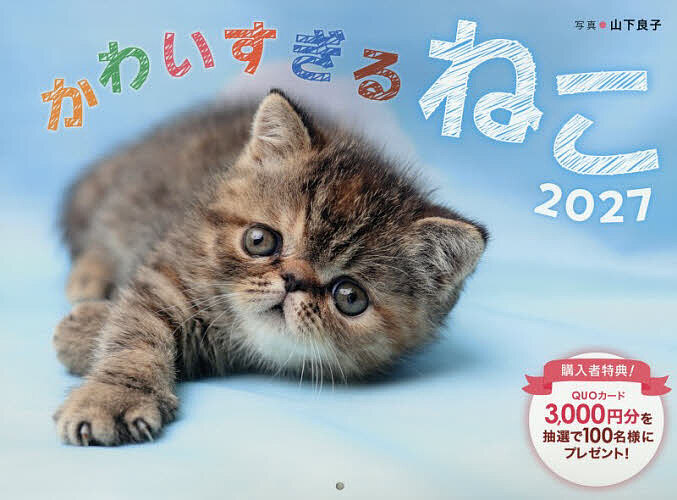 ※商品画像はイメージや仮デザインが含まれている場合があります。帯の有無など実際と異なる場合があります。出版社インプレス発売日2026年09月ISBN9784295209010キーワード2027かわいすぎるねこかれんだー 2027カワイスギルネコカレンダー やましたよしこ ヤマシタヨシコ9784295209010