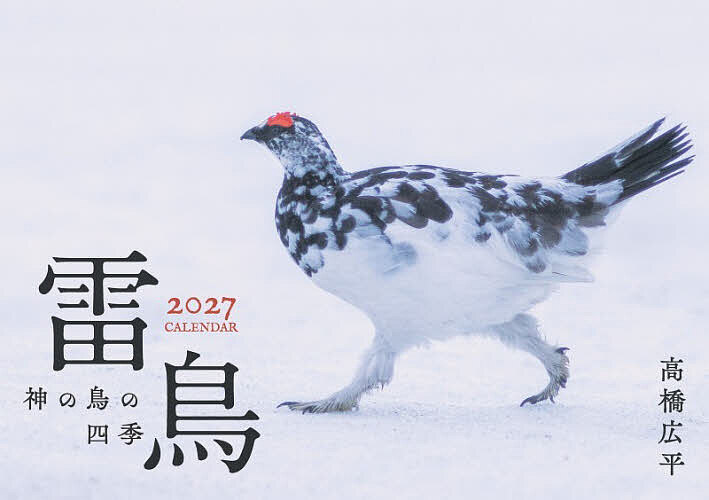【最大10万Pt当たる！注文5千円以上&エントリー要 9/20~30限定】’27 雷鳥 神の鳥の...
