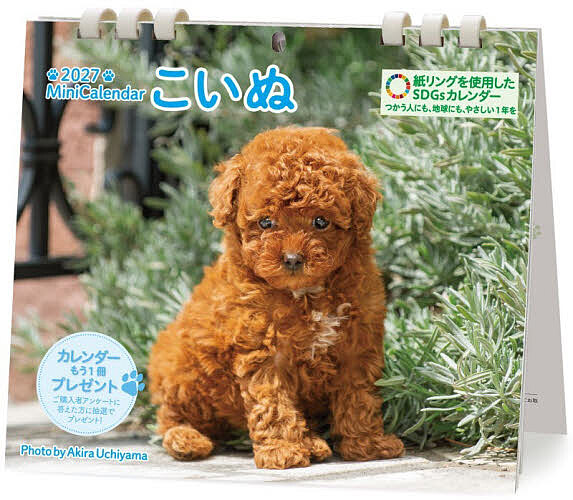 ※商品画像はイメージや仮デザインが含まれている場合があります。帯の有無など実際と異なる場合があります。出版社労働教育センター発売日2026年09月ISBN9784845010240キーワード2027みにかれんだーこいぬ 2027ミニカレンダーコイヌ あきらうちやま アキラウチヤマ9784845010240内容紹介チワワ、ダックスフント、柴犬、トイプードルなど、人気犬種のかわいい子イヌの卓上カレンダー・2026年版。日付部分はゆったり予定が書き込めます。中心の穴を吊り穴として利用すれば壁掛けになります。※本データはこの商品が発売された時点の情報です。