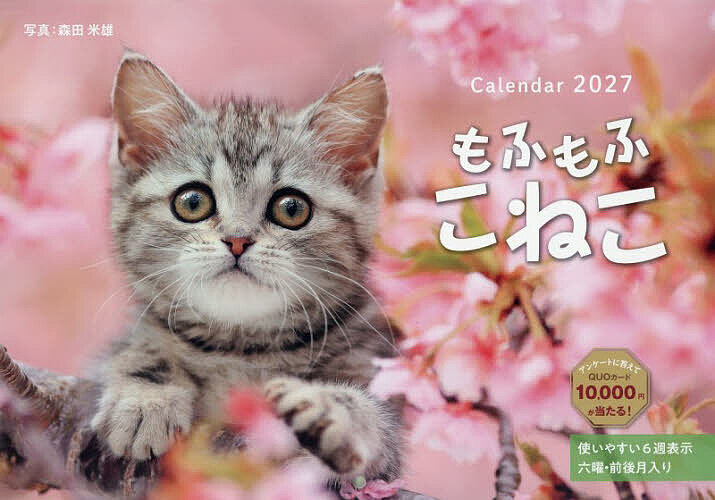【最大10万Pt当たる！注文5千円以上&エントリー要 9/20~30限定】’27 もふもふこねこCalendar