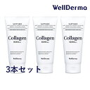 【ポイント5倍UP中】3本セット 韓国コスメ 洗顔フォーム WellDerma ウェルダーマ サファイア マリンコラーゲン パーフェクト クレンジングフォーム ...