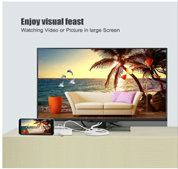 iPhone iPad Android テレビ 接続ケーブル 3in1 Lightning/Micro/Type-C HDMI 変換ケーブル HD 1080P 高解像度 設定不要 モニタへ簡単接続 AV アダプター iOS14対応
