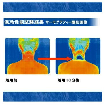 冷感 ひんやり クールスカーフ 2枚セット クールバンダナ 送料無料 通勤通学 暑さ 熱中症対策に 水で濡らすだけ 手軽に首を冷却