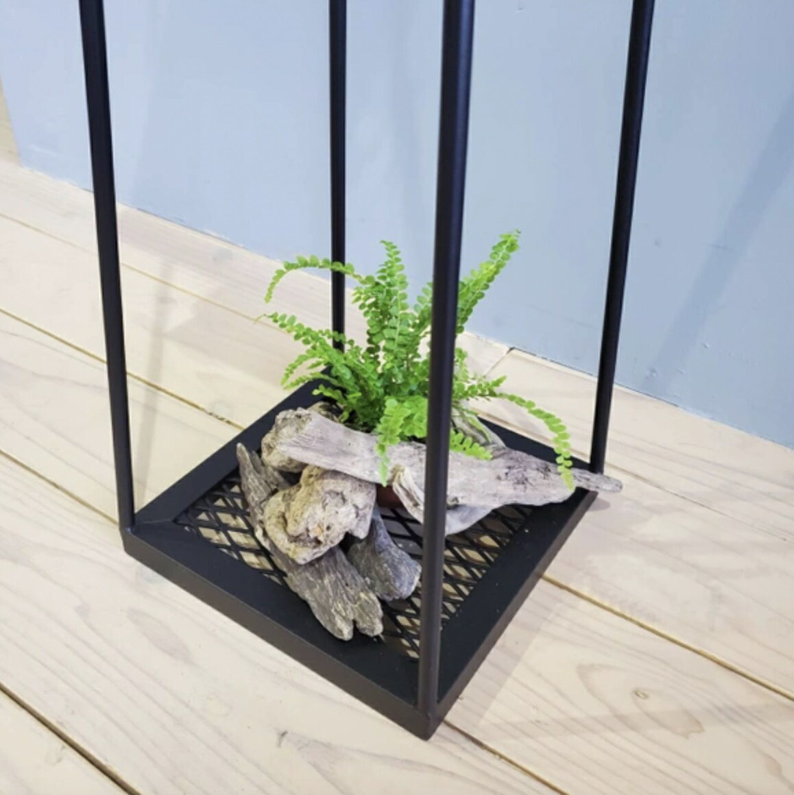 ŷ���ڡ��������������륳���륹����� ê�դ������ǡ��������к�����������å��塡���ե�����interior����������