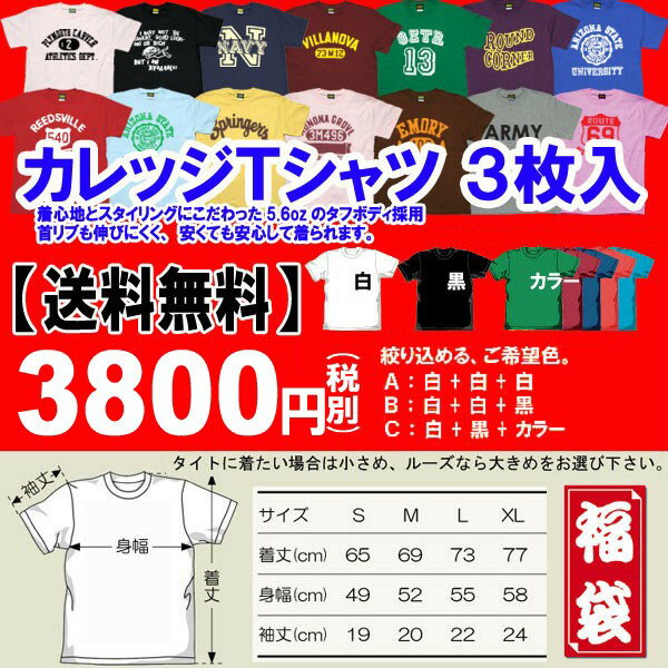 【2019福袋】 【送料無料】3枚おまかせTシャツ 福袋 ふくぶくろ【street mens】【メンズ】tシャツ福袋 /tシャツ 半袖t カレッジ柄 ユニセックス LL XL アメカジ・きれい目・ストリート/楽天カード分割