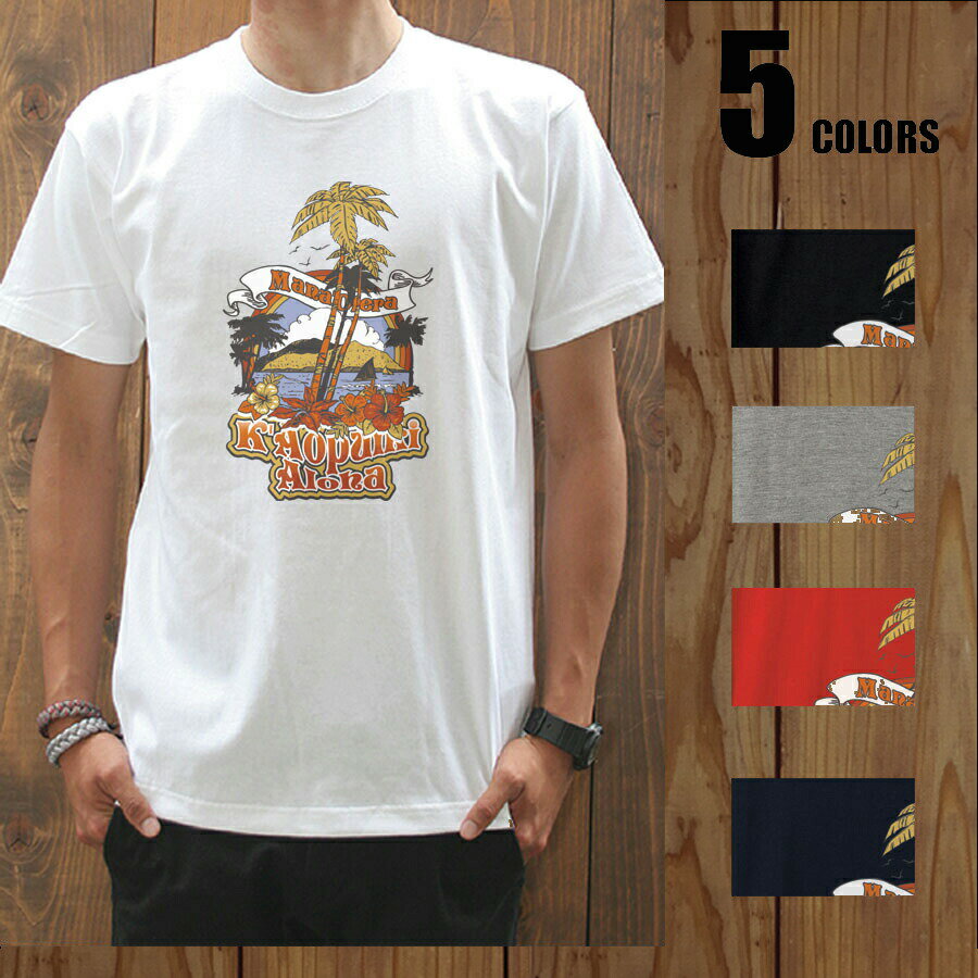 半袖 Tシャツ メンズ【Tシャツパラダイス・まとめ買割引・2p5500円送無】【Kaopulri/prd031】