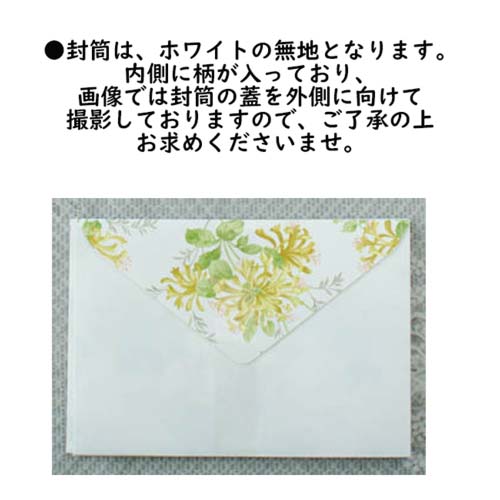 LAURAASHLEYローラアシュレイレターセットブラムウェル・アメリ・ゴスフォード・バイオレット日本製便箋封筒