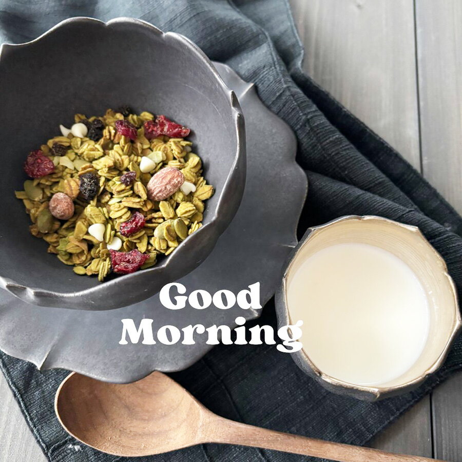 ����Ρ��� ̵ź�� �����Ի��� ���� 180g �������� ����ƥ�ե꡼ ͭ���Ǻ� ���������ܥ��� �������˥å� ��GI �إ륷�� ī�� ���� ��ʪ���� �ץ쥼��� ���եȡ����������ܥ���