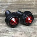 黒ステンレス&赤クリスタルガラス 高耐久性 スワロフスキー ナンバーボルト 2本