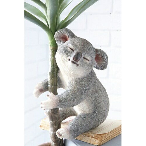 安いts 41の通販商品を比較 ショッピング情報のオークファン