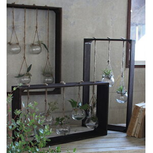 自宅をカフェ風に ハンギングプランツ 観葉植物 が出来るアイテムのおすすめランキング わたしと 暮らし 自宅をカフェ風に ハンギングプランツ 観葉植物 が出来るアイテムのおすすめランキング わたしと 暮らし