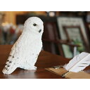 PET BANK OWL SNOWY OWL【1278】□【BR5】【貯金箱 フクロウ オブジェ インテリア 雑貨 置物 magnet】 - 雑貨とアウトドアのbosky