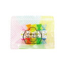 キャンディ ポーチ CANDY POUCH 3071 □□ BR5 magnet 文房具 ステーショナリー 蛍光ペン マーカー 5本入り ペンケース キュート ...