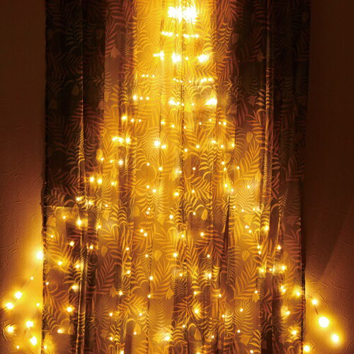 【期間限定P10倍!】 10ワイヤーガーランド USBタイプ ブロンズ 1.9m SAXR3010BZ □□ ER10 SPICE スパイス 電飾 装飾 10本...