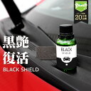 車 洗車 黒樹脂復活 樹脂パーツ 樹脂復活 コーティング BLACK SHIELD 30ml 洗車用品 カー用品 黒艶 復元 1年耐久 足元樹脂 モールコーティング剤 窓枠 モール 復活 未塗装樹脂コーティング 樹脂用 樹脂バンパー 劣化抑制 色ヤケ 色褪せ 色あせ 白ボケ 保護 手洗い