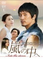 樂天商城 - 【中古レンタルアップ】 DVD アジア・韓国ドラマ 嵐の中へ 全12巻セット キム・ミンジュン ソン・ユナ