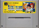 機種【スーパーファミコン】こちらは「ソフト単品」となります。初期動作確認済みです。古いものですので、汚れ(黄ばみ)やシール破れ、シールをはがした跡やラクガキの跡などある場合があります。内臓バックアップ電池の補償は致しておりません。以上ご了承下さい。