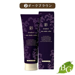 イリヤ 彩 ONEメイクカラー (ダークブラウン) 250g イリヤ 彩 ONEメイクカラー (ダークブラウン) 250g