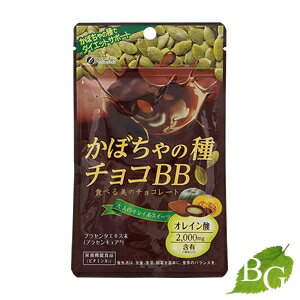 ファイン かぼちゃの種チョコBB 40g×6個セット