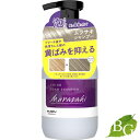 アンナドンナ エブリ カラーフォームシャンプー〈ムラサキ〉 250ml