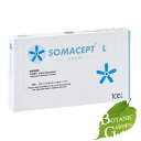 【送料無料】東洋レヂン SOMACEPT ソマセプト L 10個入り