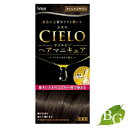 ホーユー シエロ オイルインヘアマニキュア アッシュブラウン サロン専売品