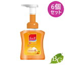 ミューズ 泡ハンドソープ フルーティフレッシュ 250mL×6個セット(4)