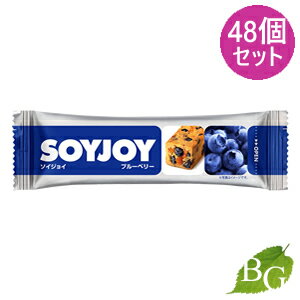 【送料無料】大塚製薬 ソイジョイ SOYJOY ブルーベリー 48個セット