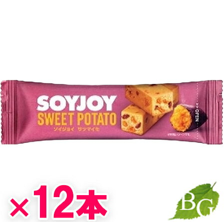  祤 SOYJOY ĥޥ 30g12ܥå