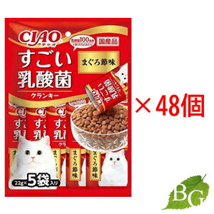    ���Ȃ� ��������� �ۃN�����L�[ �܂���ߖ� 1�܁~48��