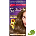 WELLA ウエラ トーン2+1 クリームタイプ 9CB1セット