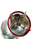 ファンタジー ワールド 傷口をなめて困る時に VETカラー XS レッド 猫 小動物 小型犬 介護 手術 ケガ レッド