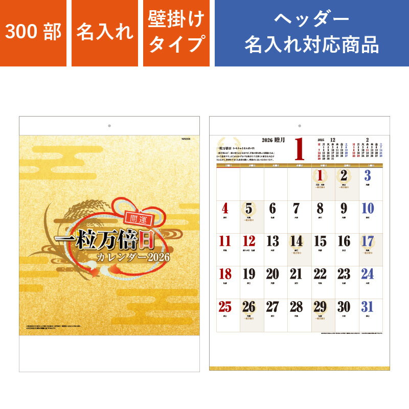  300 1̾ 2026ǯ ɳݤ B3γ | W380H535mm  ֥å NZB2206 | ¥ Υ٥...