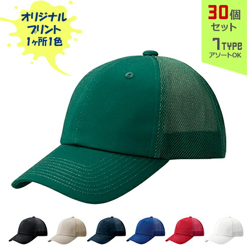 ��30�ĥ��åȡۥ��ꥸ�ʥ�ץ��� ���åȥ�ĥ�����֥��å��� CAP 1�����륯���� | CTD ��7�� �ե꡼������(Ĵ����) ���åȥ󥭥�å� ˹�� ̾...