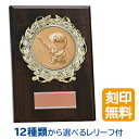 【3個以上～】ドラえもんプライズ 表彰楯 | 選べるレリーフ12種類 文字刻印代無料 表彰グッズ DRZ-3003