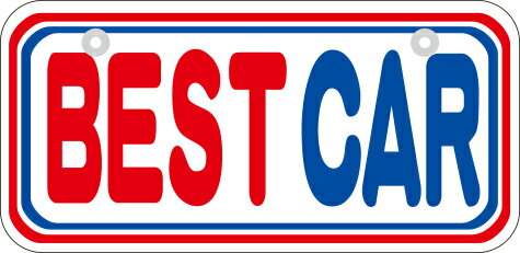 乐天商城 - 【6枚以上〜】NCS-A SK製(W鋼板) ナンバープレート BESTCAR ※6枚以上からの販売